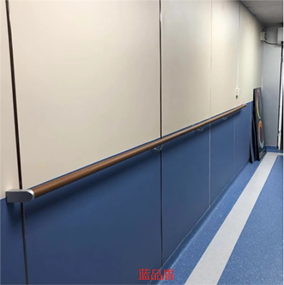 醫(yī)院走廊無障礙扶手 醫(yī)院走廊無障礙扶手