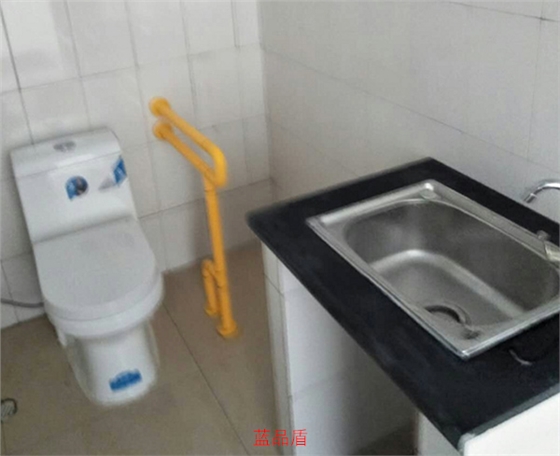 老人衛(wèi)生間扶手 老人衛(wèi)生間扶手