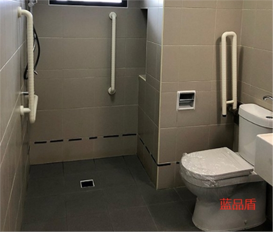 殘衛(wèi)扶手 殘衛(wèi)扶手