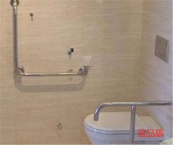 殘衛(wèi)扶手 殘衛(wèi)扶手