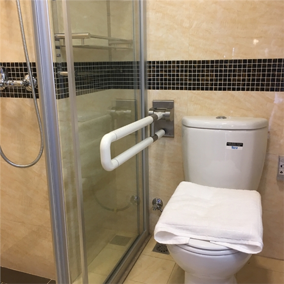 衛(wèi)浴扶手品牌.jpg 衛(wèi)浴扶手品牌.jpg