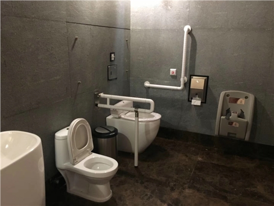 殘疾衛(wèi)生間扶手.jpg 殘疾衛(wèi)生間扶手.jpg