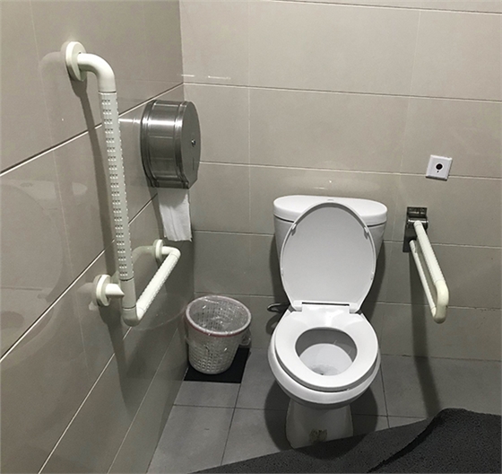 病房衛(wèi)生間防撞扶手 病房衛(wèi)生間防撞扶手